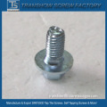 Grade 8.8 blue-white zinc plated triangular thread self tapping screw